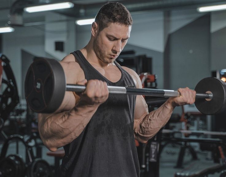 BARBELL BICEP CURL